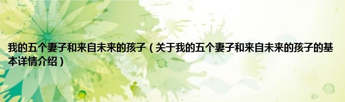 我的五个妻子和来自未来的孩子（关于我的五个妻子和来自未来的孩子的基本详情介绍）