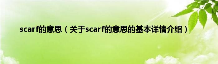 scarf的意思（关于scarf的意思的基本详情介绍）