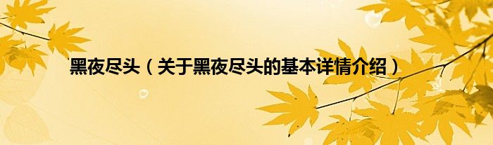 黑夜尽头（关于黑夜尽头的基本详情介绍）