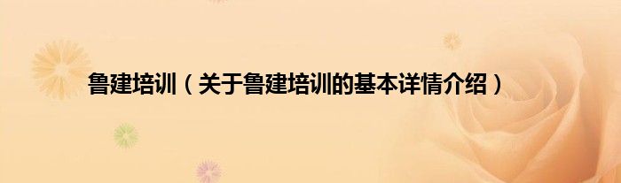 鲁建培训（关于鲁建培训的基本详情介绍）