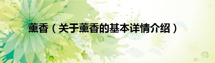 薰香（关于薰香的基本详情介绍）