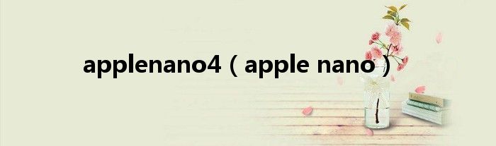 applenano4（apple nano）