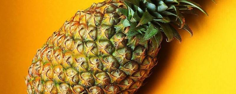 菠萝太生了怎么放熟