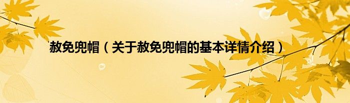赦免兜帽（关于赦免兜帽的基本详情介绍）