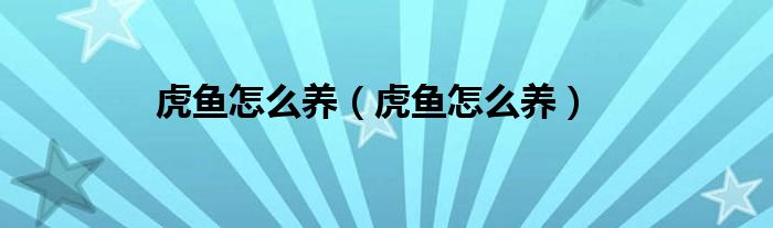 虎鱼怎么养（虎鱼怎么养）