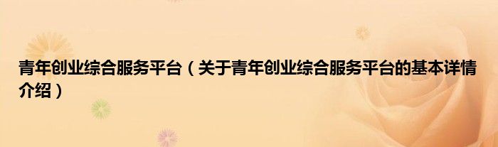 青年创业综合服务平台（关于青年创业综合服务平台的基本详情介绍）