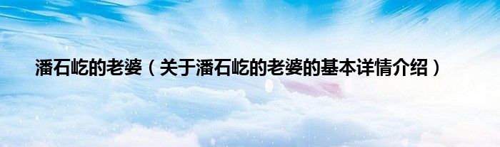 潘石屹的老婆（关于潘石屹的老婆的基本详情介绍）