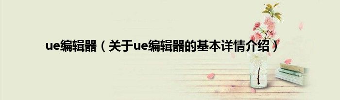 ue编辑器（关于ue编辑器的基本详情介绍）