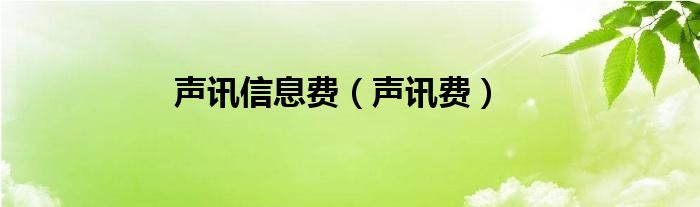 声讯信息费（声讯费）