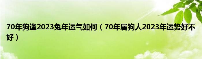 70年狗逢2023兔年运气如何（70年属狗人2023年运势好不好）
