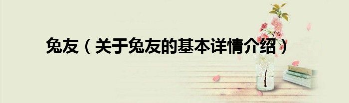 兔友（关于兔友的基本详情介绍）