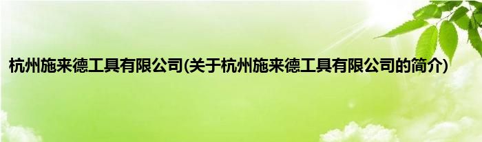 杭州施来德工具有限公司(关于杭州施来德工具有限公司的简介)