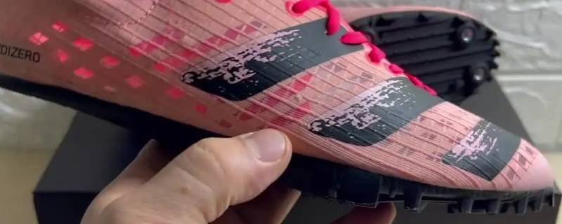 小蝉翼有全掌吗