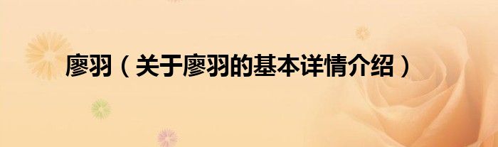 廖羽（关于廖羽的基本详情介绍）