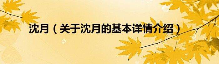沈月（关于沈月的基本详情介绍）