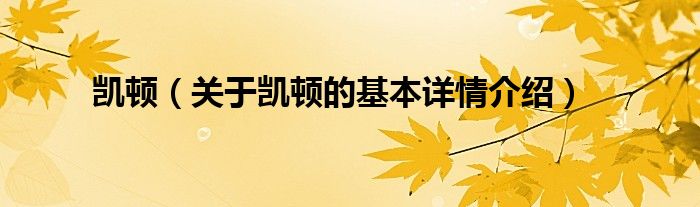 凯顿（关于凯顿的基本详情介绍）