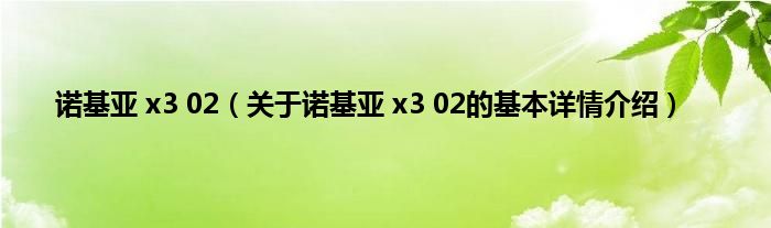 诺基亚 x3 02（关于诺基亚 x3 02的基本详情介绍）