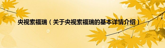 央视索福瑞（关于央视索福瑞的基本详情介绍）