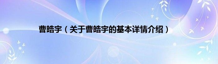 曹皓宇（关于曹皓宇的基本详情介绍）