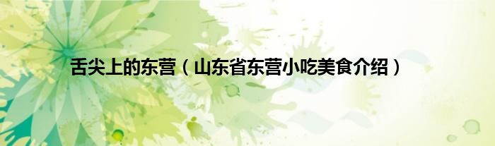 舌尖上的东营（山东省东营小吃美食介绍）