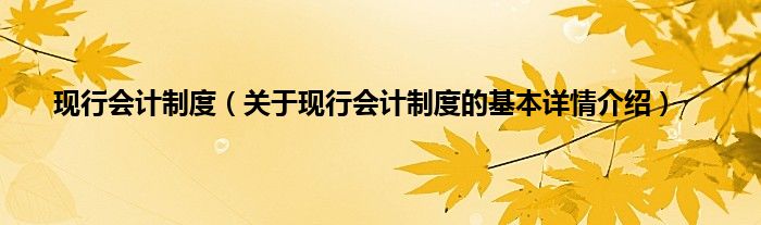 现行会计制度（关于现行会计制度的基本详情介绍）