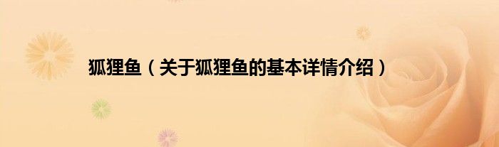 狐狸鱼（关于狐狸鱼的基本详情介绍）