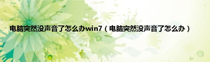 电脑突然没声音了怎么办win7（电脑突然没声音了怎么办）