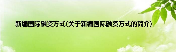 新编国际融资方式(关于新编国际融资方式的简介)