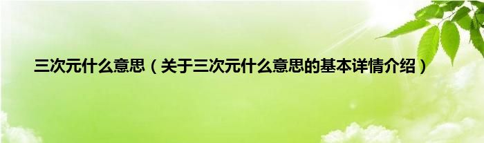 三次元什么意思（关于三次元什么意思的基本详情介绍）