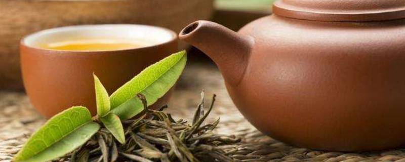 老茶是什么茶