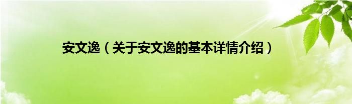 安文逸（关于安文逸的基本详情介绍）