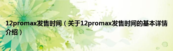 12promax发售时间（关于12promax发售时间的基本详情介绍）