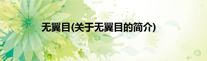 无翼目(关于无翼目的简介)