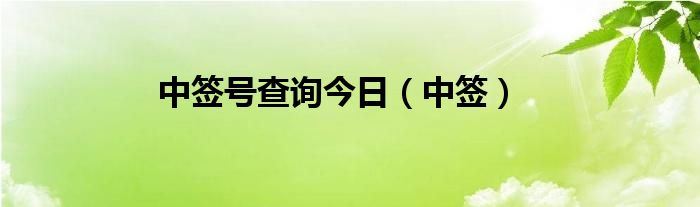 中签号查询今日（中签）