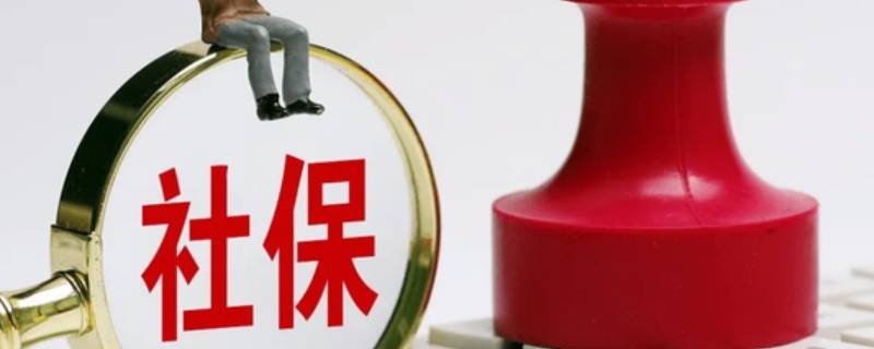 保险群体机构是什么