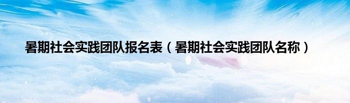 暑期社会实践团队报名表（暑期社会实践团队名称）