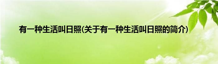 有一种生活叫日照(关于有一种生活叫日照的简介)