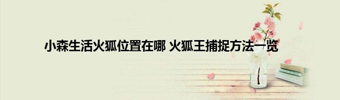 小森生活火狐位置在哪 火狐王捕捉方法一览