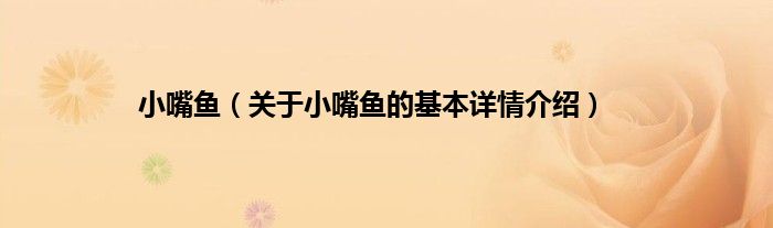 小嘴鱼（关于小嘴鱼的基本详情介绍）