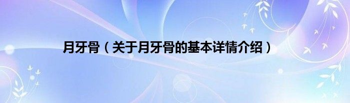 月牙骨（关于月牙骨的基本详情介绍）