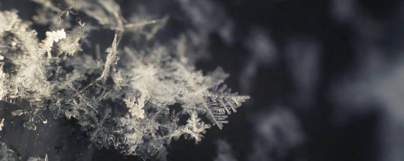 人造雪和天然雪的区别