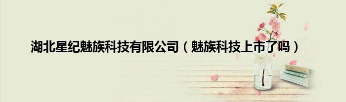 湖北星纪魅族科技有限公司（魅族科技上市了吗）