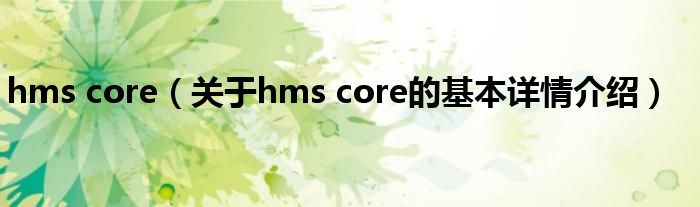 hms core（关于hms core的基本详情介绍）