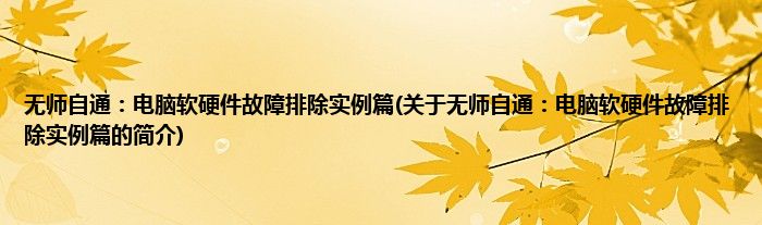 无师自通：电脑软硬件故障排除实例篇(关于无师自通：电脑软硬件故障排除实例篇的简介)
