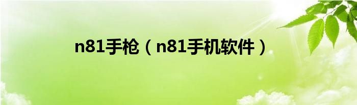 n81手枪（n81手机软件）