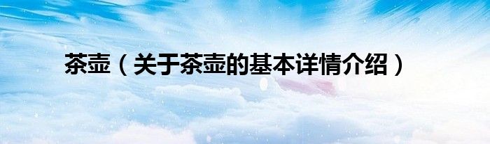 茶壶（关于茶壶的基本详情介绍）