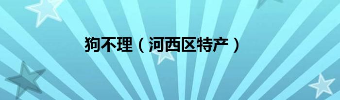 狗不理（河西区特产）