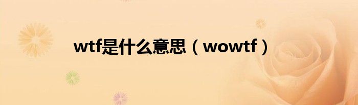 wtf是什么意思（wowtf）