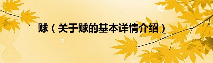 赇（关于赇的基本详情介绍）