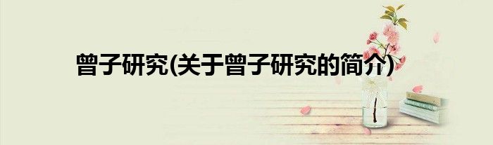 曾子研究(关于曾子研究的简介)